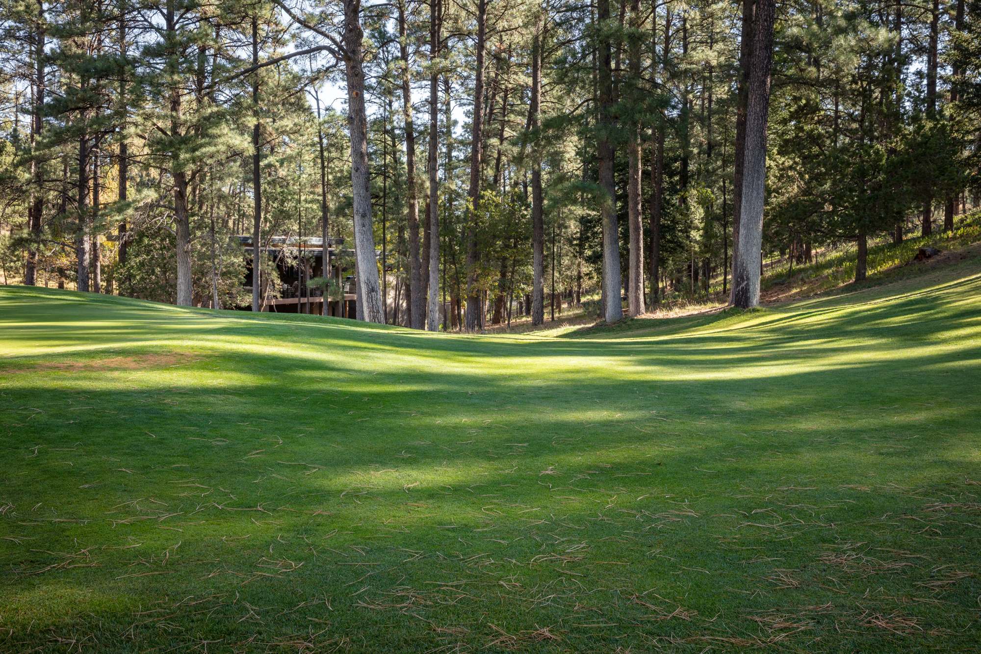 CH_20201015_WEB001