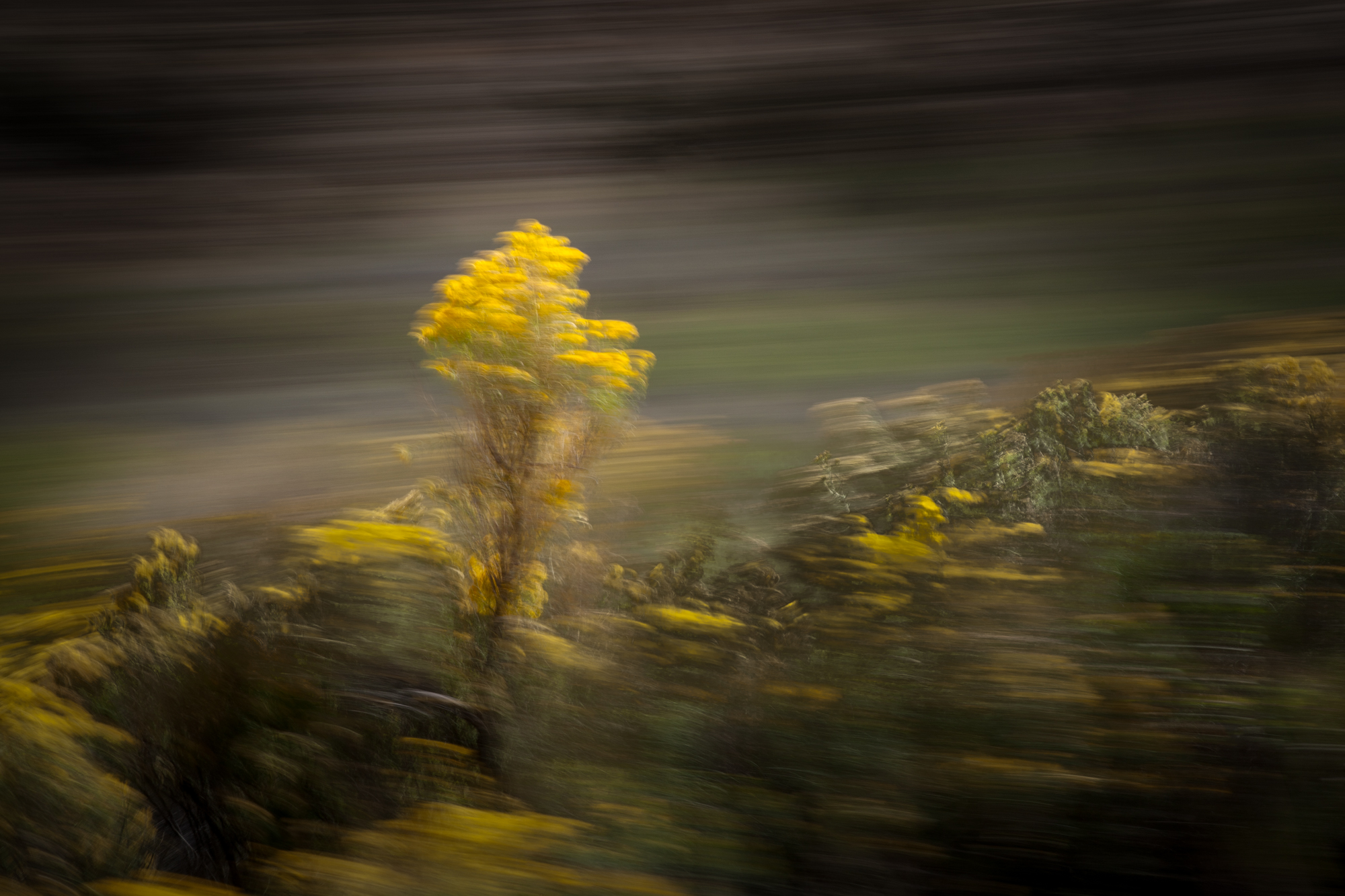 Investigations_0723-23