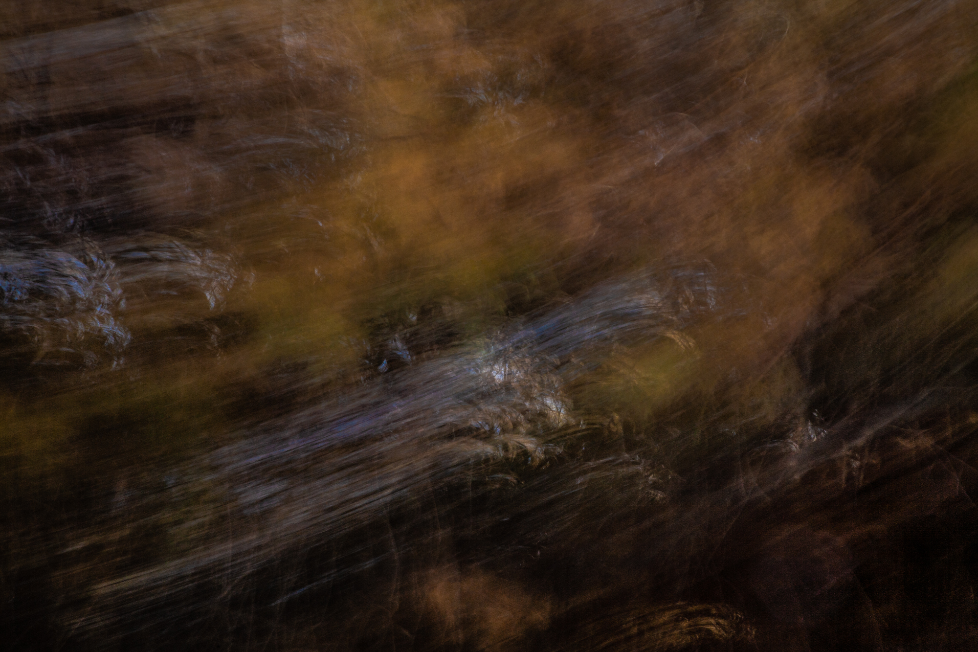 Investigations_0723-37